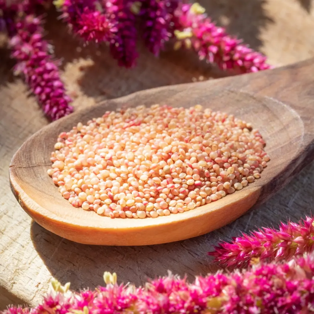 amaranth