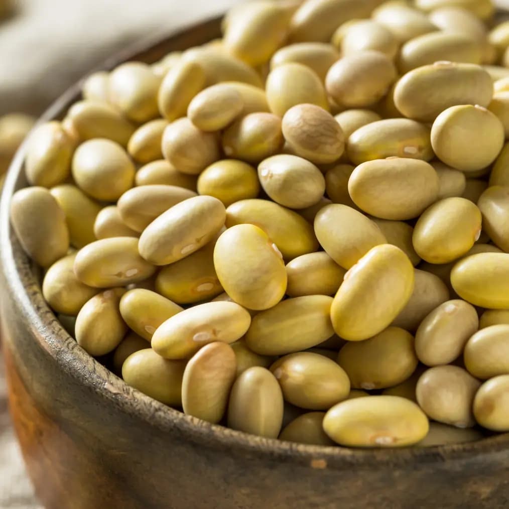 canary beans